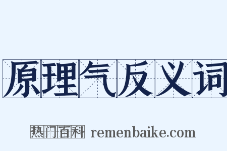 原理气反义词是什么意思的图片
